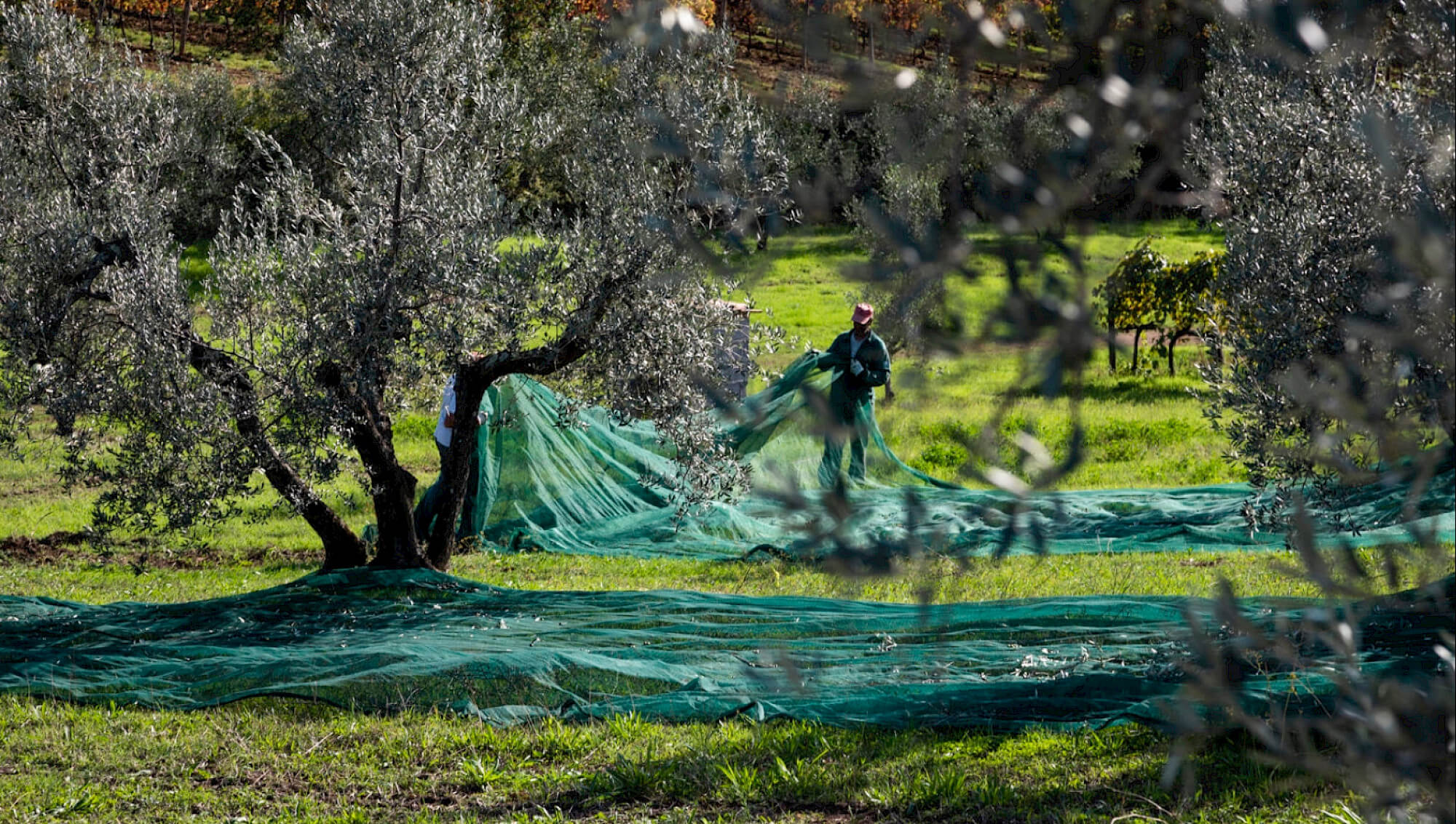 Fiscolo 2025 - Etichetta Nutrizionale e Ambientale